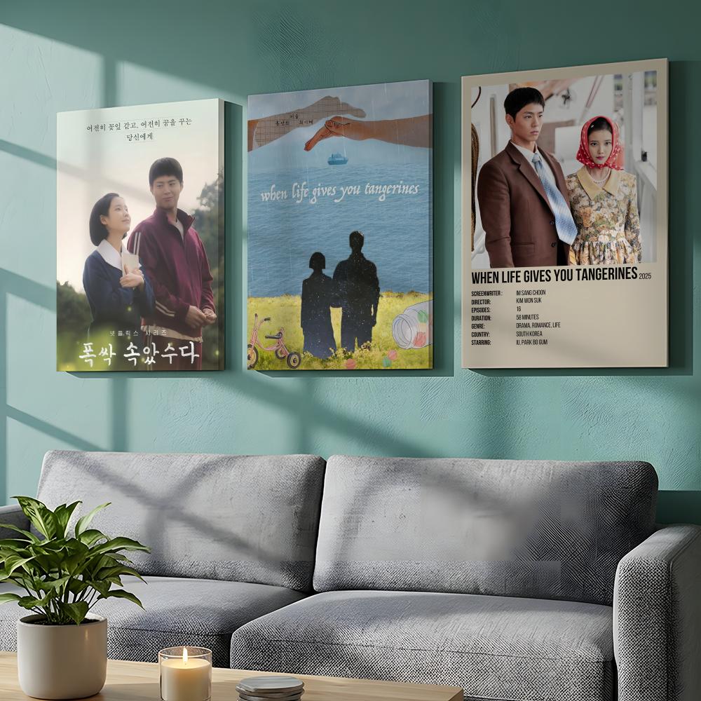 Korean TV When Life Gives You  - Korean Arts And Lifestyle ulasan dan harga